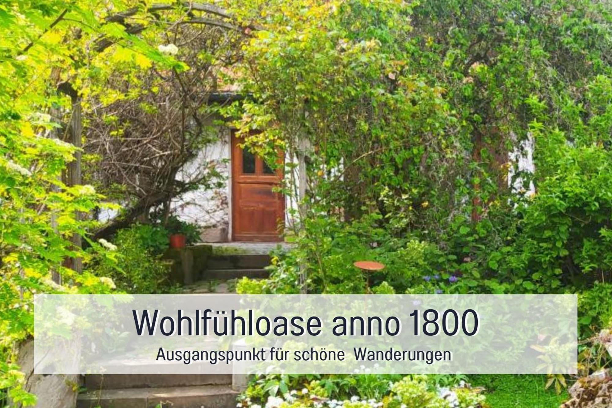 Schweizerblick Apartment Hanner Exterior photo