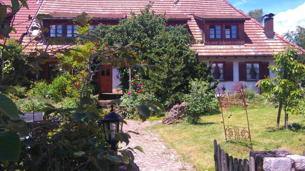 Schweizerblick Apartment Hanner Exterior photo